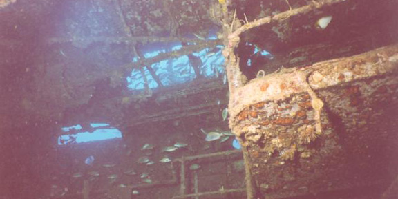 Dive With South Florida Diving Headquarters